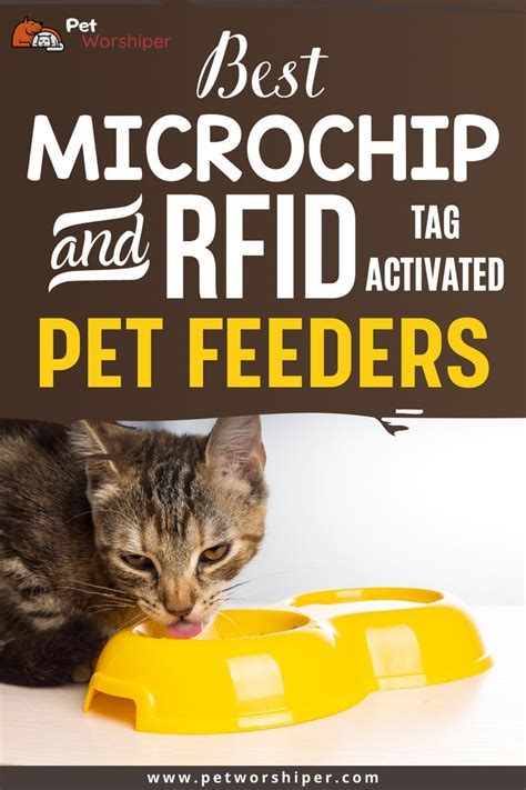 pet feeders rfid tag frequencies|chip activated pet feeder.